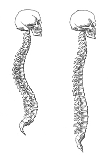 Tai Chi - (Vertical Axis Posture)